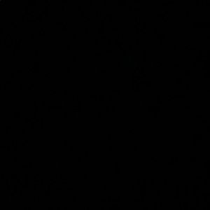 Meet your Posher, Maya